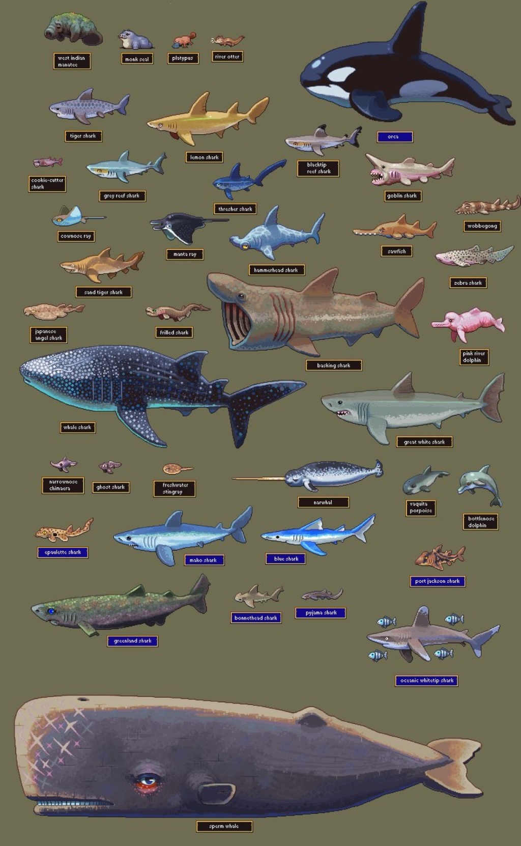 Sea Creatures Pixel Art Neoriceisgood